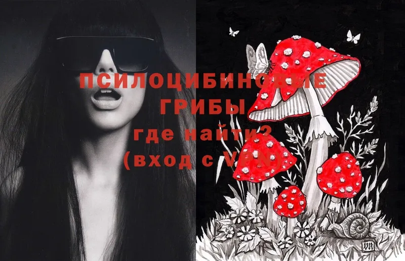 Псилоцибиновые грибы MAGIC MUSHROOMS  Краснокамск 